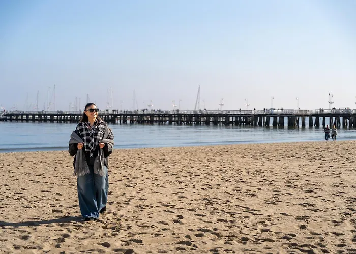 Palm With Terrace & Parking By Lion *